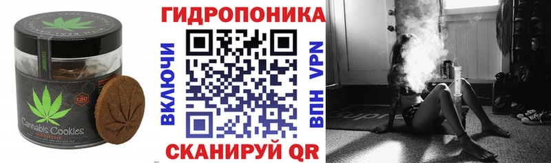 купить наркоту  Саранск  блэк спрут ТОР  Cannafood конопля 