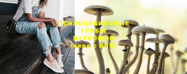 хмурый Билибино