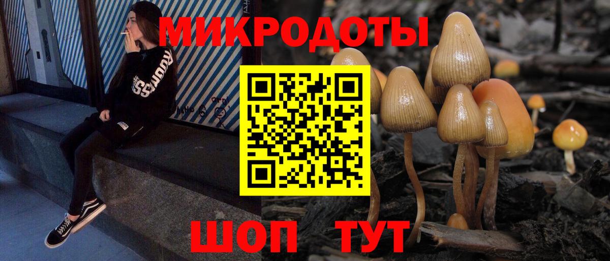 Псилоцибиновые грибы MAGIC MUSHROOMS  Вход с VPN  наркота  Саранск 