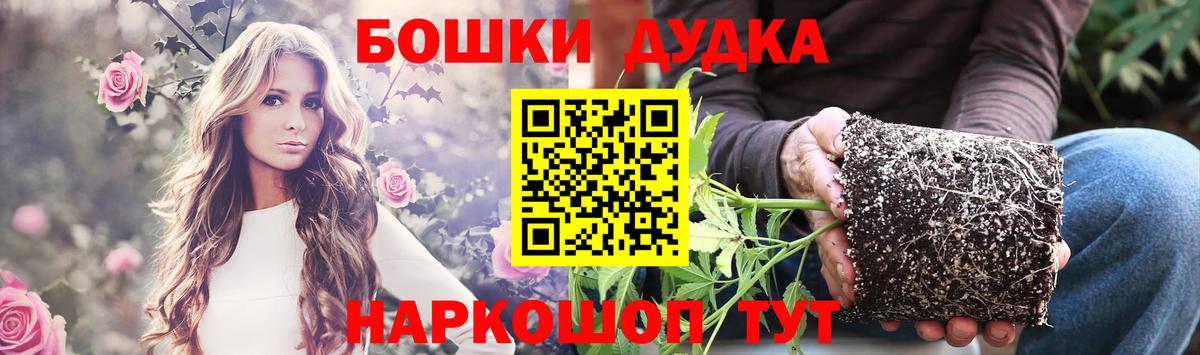 Каннабис индика Саранск